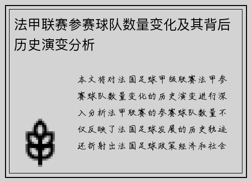 法甲联赛参赛球队数量变化及其背后历史演变分析